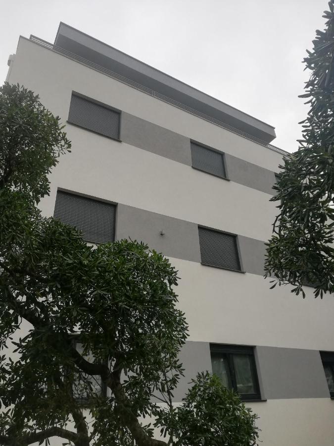 Laurus Apartment