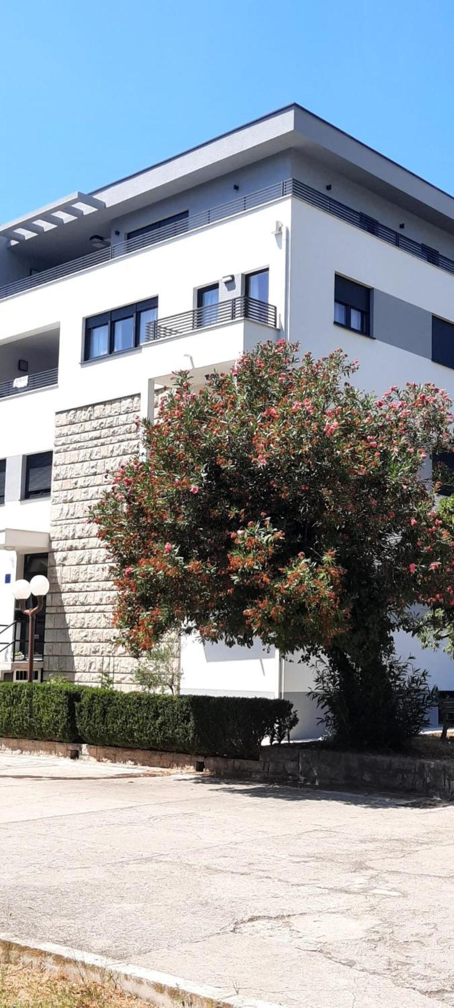 Laurus * Makarska