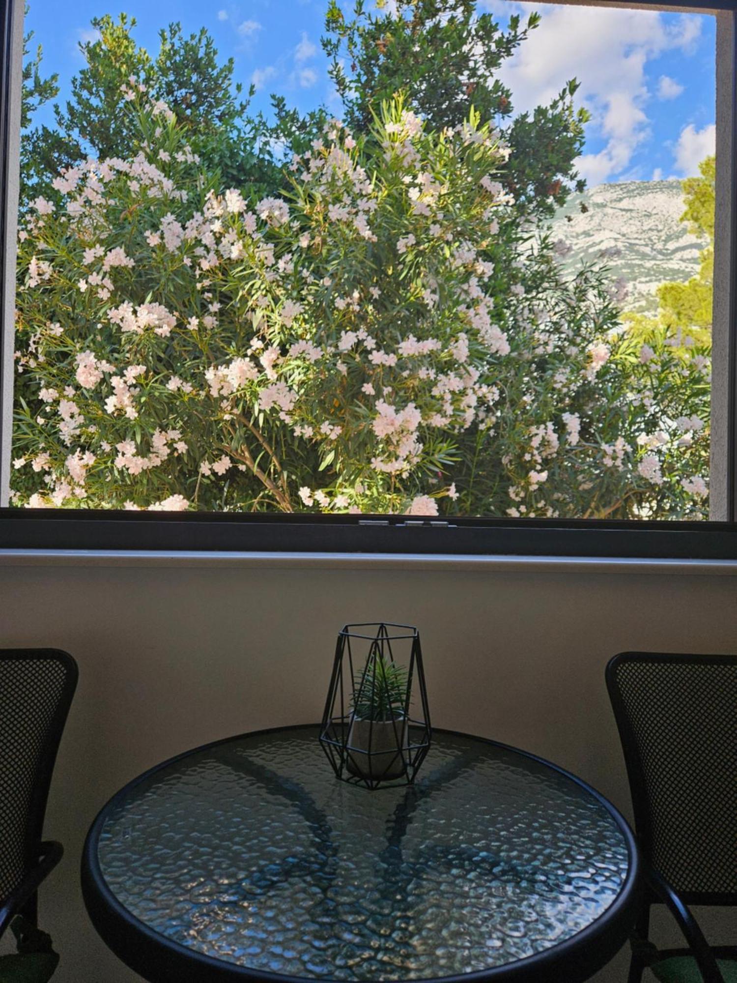 Laurus Apartment *